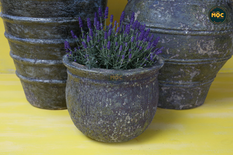 Bộ sưu tập Gốm Atlantic - Đêm đầy sao