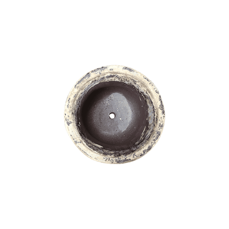 3074 Atlantic Tulip Miệng Bằng 26x26x20 Màu Trái Đất