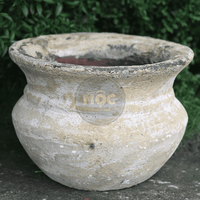 3073 Atlantic Tulip Thấp 50x50x33 Màu Trái Đất