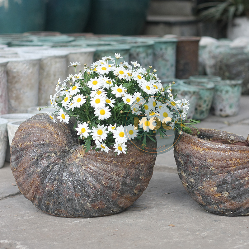 3106 Atlantic Ốc Mỡ 40x30x25 M24