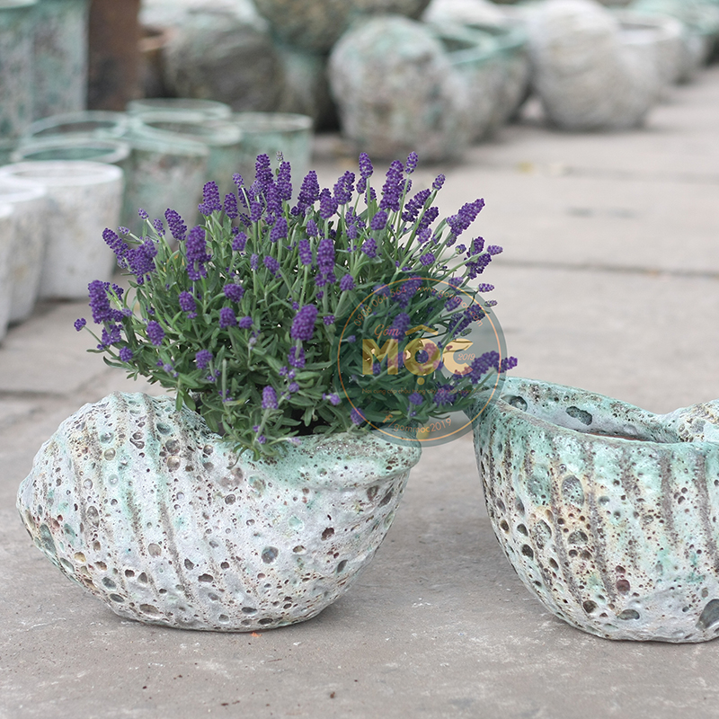 3107 Atlantic Ốc Hương 39x39x20 M25