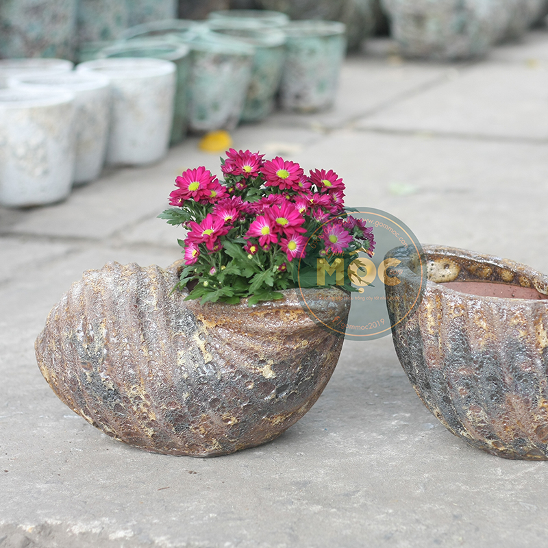 3107 Atlantic Ốc Hương 39x39x20 M25