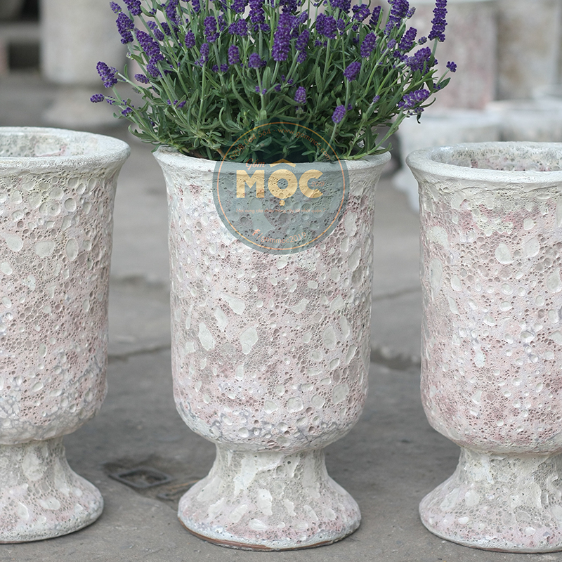 3105 Atlantic Ly Cúp Thon 22x22x35