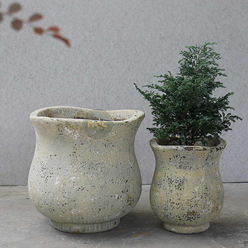 3259 Atlantic Tulip Miệng Bèo 34x34x37 M30 Màu Thời Đại