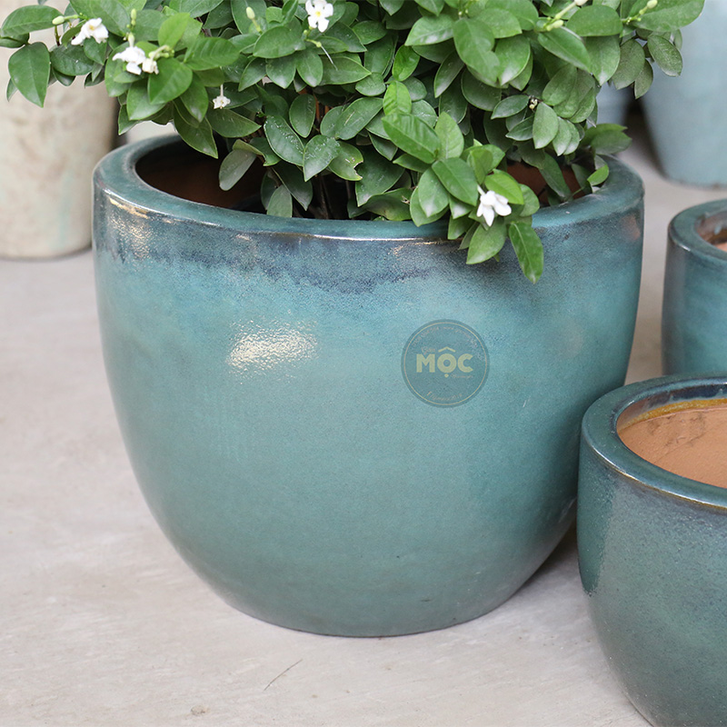 3443 OD Trứng 24x24x19 Xanh Rêu