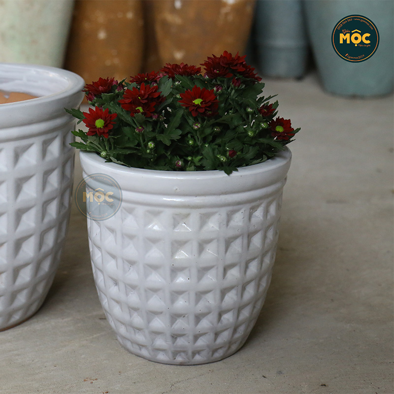 3447 OD Bầu Kim Cương 20x20x20