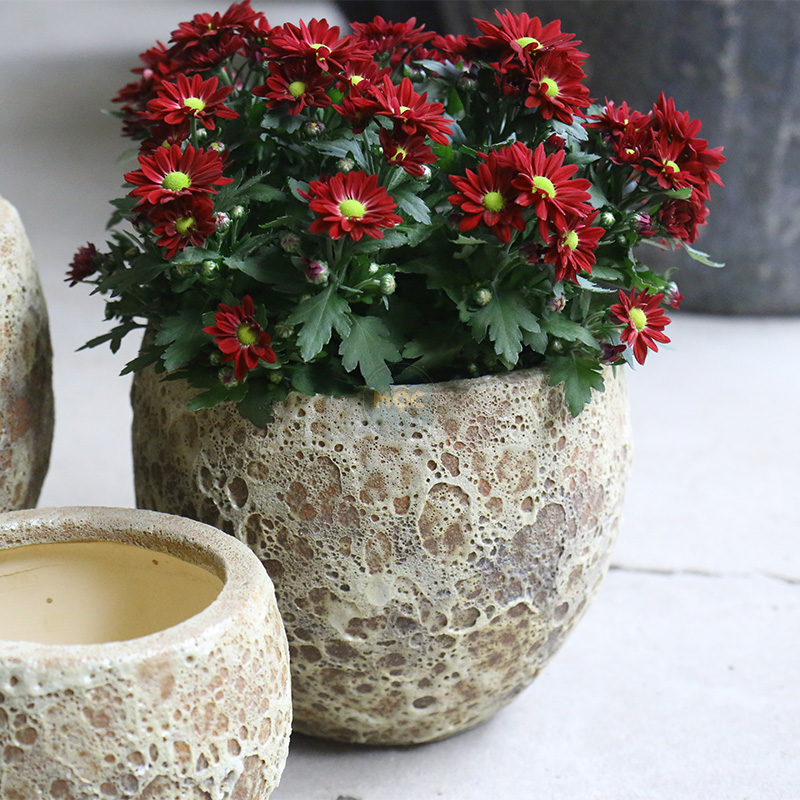 3539 Atlantic Bầu Đáy Thon 17x17x14 M14