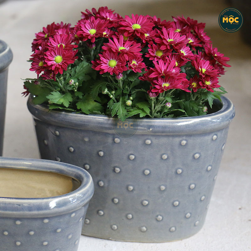 3534 ID Oval Chấm Bi 26x15x16