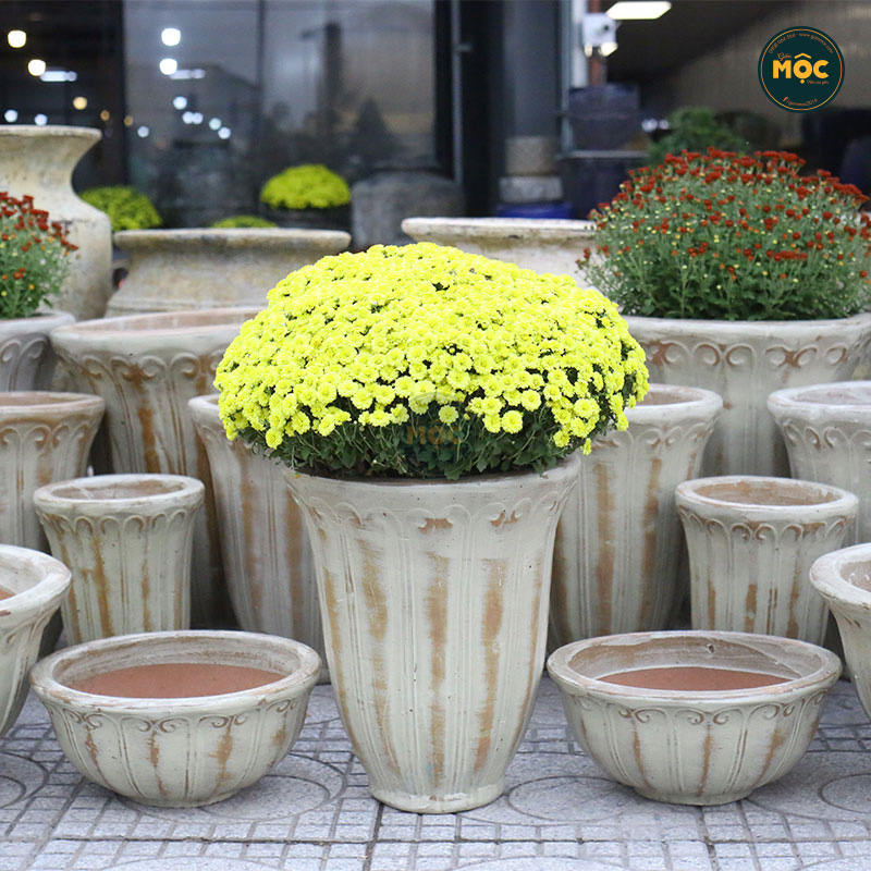 Men Mộc | 3873 Hoa Tulip Cao 27x27x33