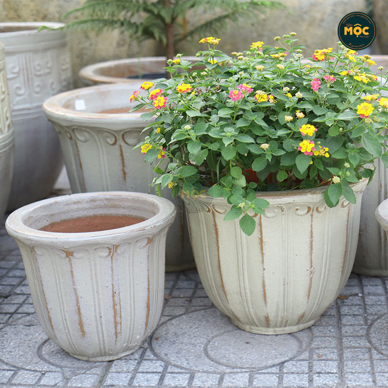 Men Mộc | 3872 Hoa Tulip Thấp 39x39x31