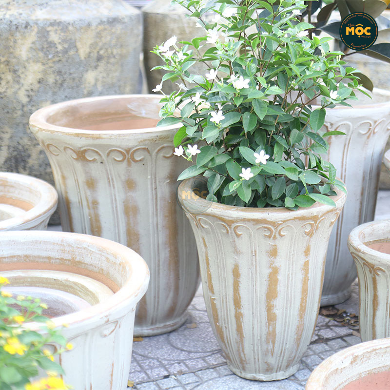 Men Mộc | 3873 Hoa Tulip Cao 37x37x46