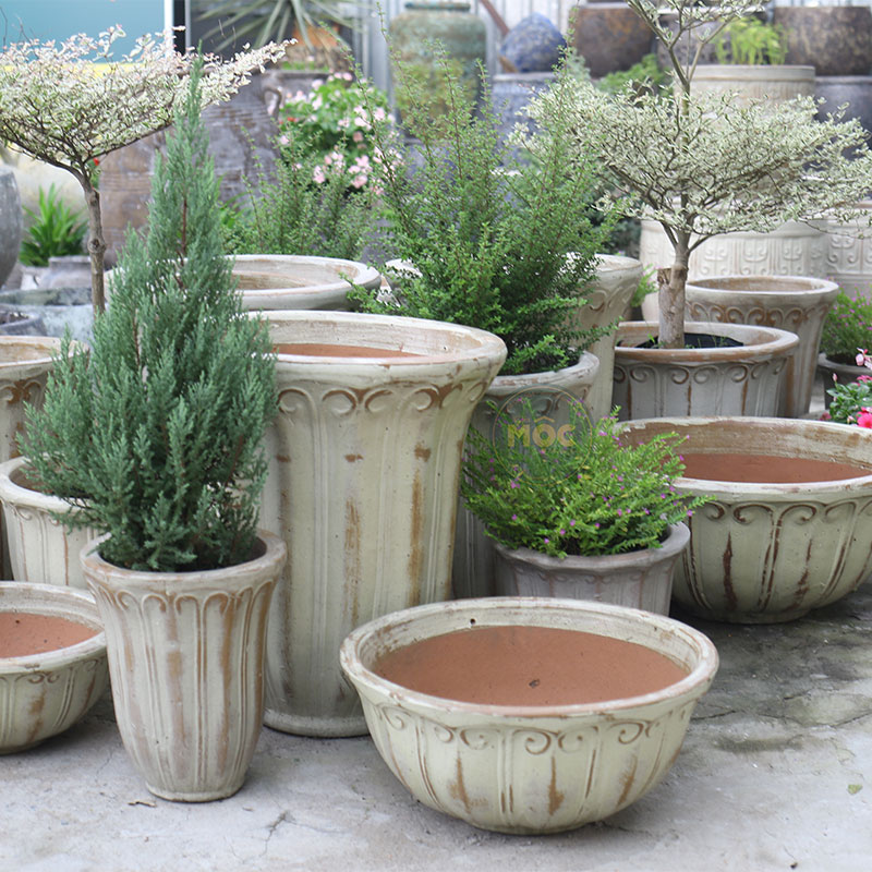 Men Mộc | 3873 Hoa Tulip Cao 37x37x46