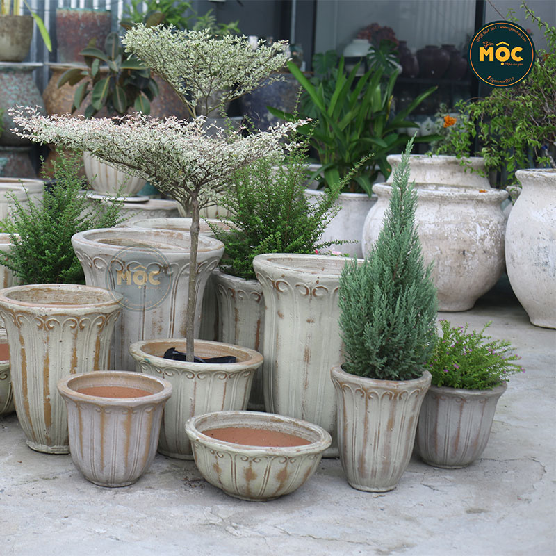 Men Mộc | 3911 Hoa Cẩm Tú Cầu 60x60x28