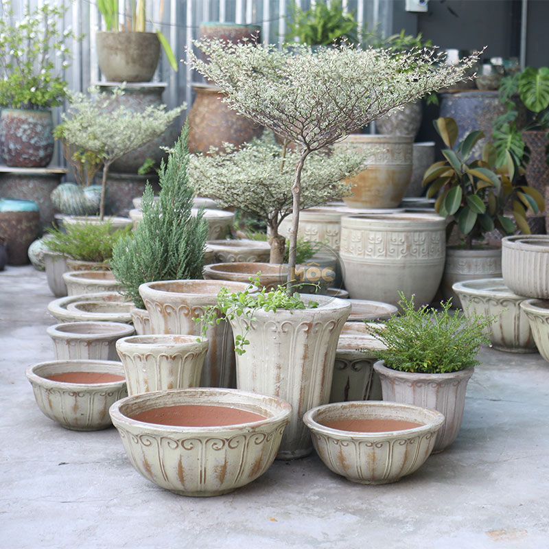 Men Mộc | 3872 Hoa Tulip Thấp 39x39x31