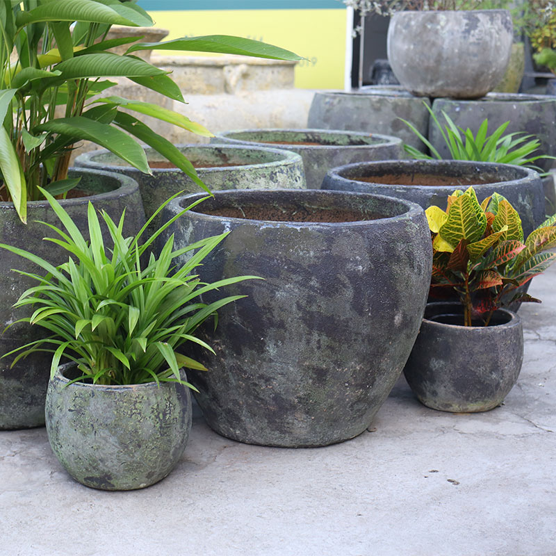 4047 Men Mỹ Thuật Trứng Cao 65x65x53 M59