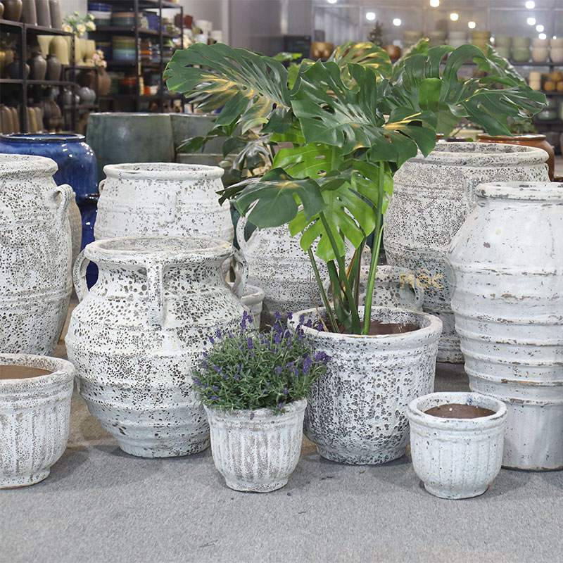 4052 Atlantic Chậu Bí Cao 25x25x23