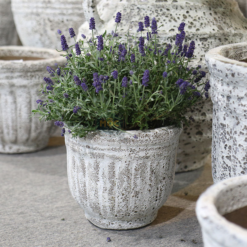 4052 Atlantic Chậu Bí Cao 25x25x23