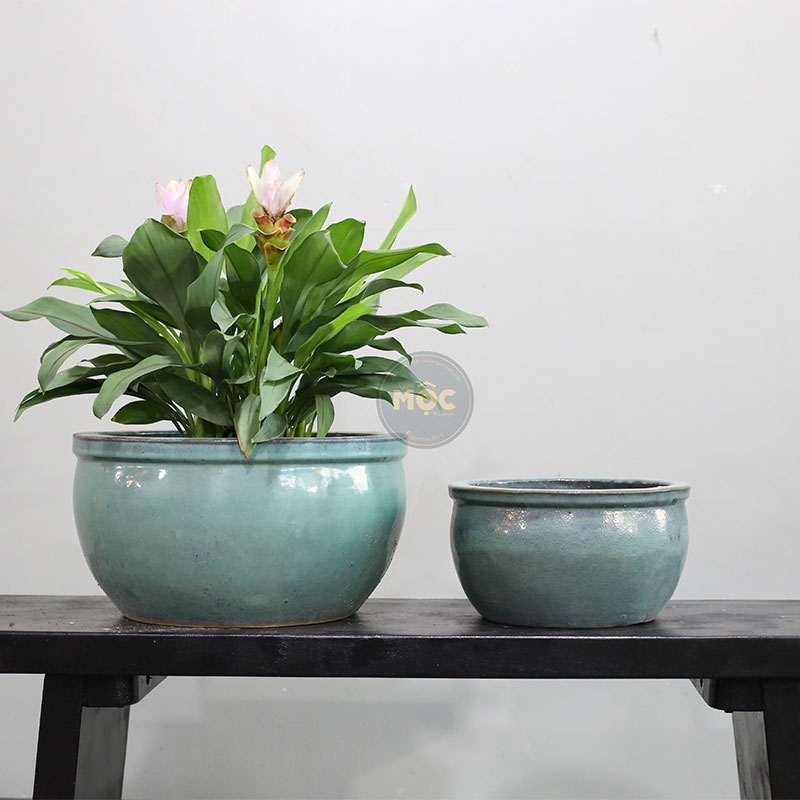 3445 OD Bầu Viền Thấp 35x35x19 Xanh Rêu