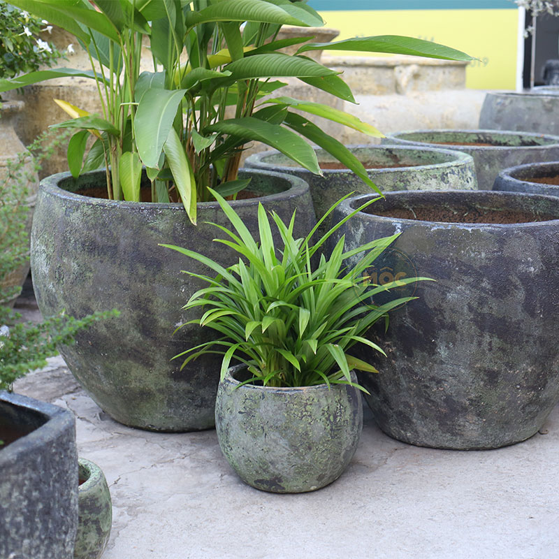 4048 Men Mỹ Thuật Trứng Cao 61x61x50 M56