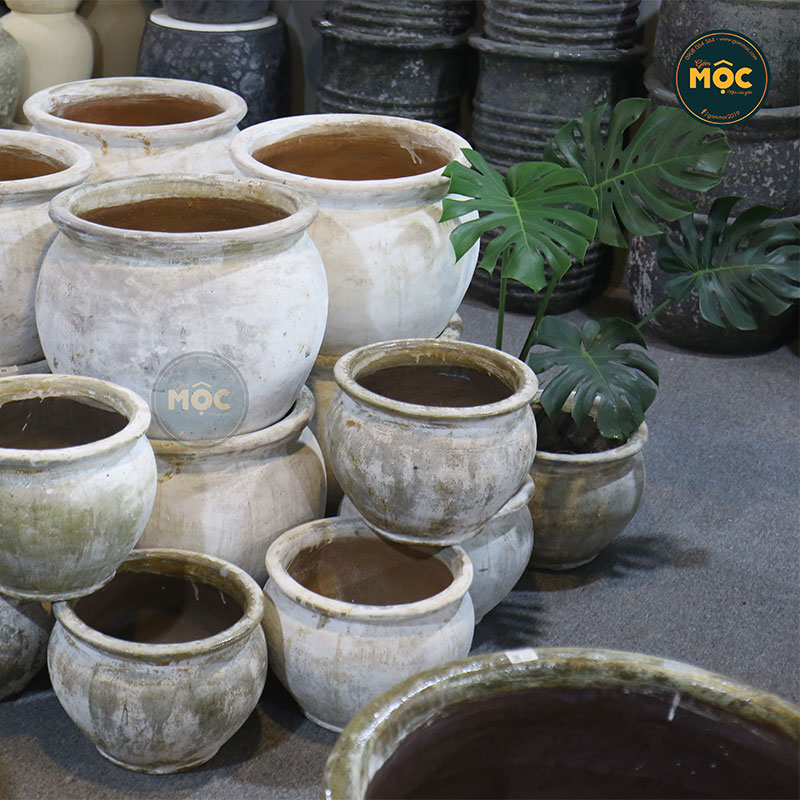 4102 Men Mỹ Thuật Hoa Hồng Trứng 55x55x46 M50